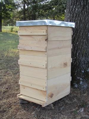 Langstroth style beehive