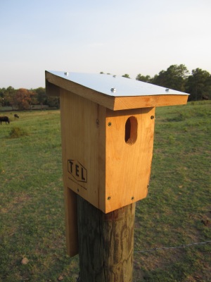 Bluebird Nestbox