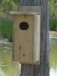 wood duck nesting box
