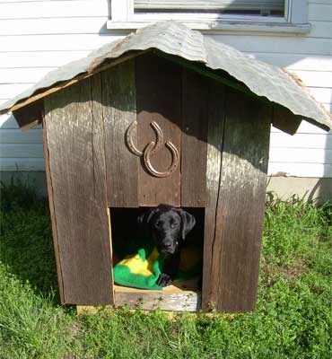 rustic cabin dog house
